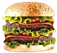 Double Fusion Burger